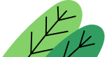 Two overlapping stylized green leaves with black vein lines on a light background.