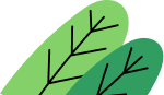 Two overlapping, stylized green leaves with simple black vein lines on a light background.