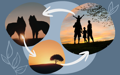 A collage with silhouettes of two wolves, a family with children at sunset, and a single tree, all connected by white arrows on a blue background with leaf illustrations, representing the interconnectedness of sustainable living.