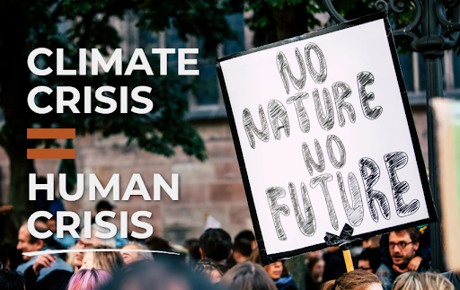 A protest crowd holds a sign reading NO NATURE NO FUTURE. Next to the crowd, large text says CLIMATE CRISIS = HUMAN CRISIS. Trees and a building are visible in the background.