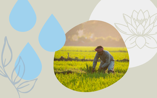 A farmer bends down to tend crops in a lush green field under soft sunlight, surrounded by graphic elements of blue water droplets, a lotus flower, and plant outlines on a beige background.
