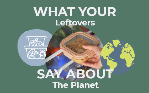Leftover food stored neatly in reusable containers, representing reduced food waste.
